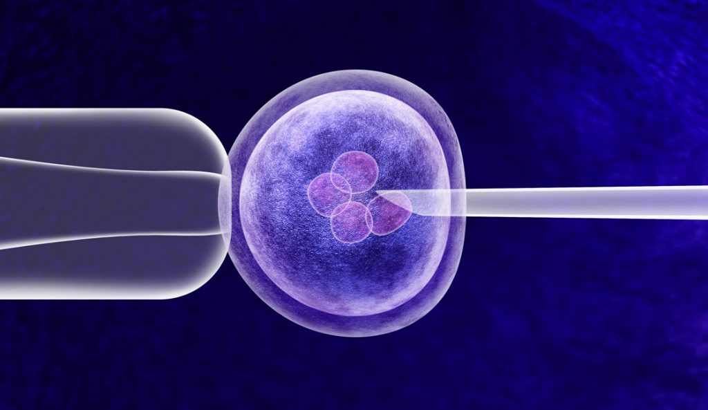 difference between ivf icsi 1024x593